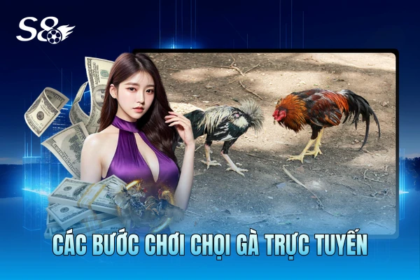 Các bước chơi chọi gà trực tuyến Các bước chơi chọi gà trực tuyến