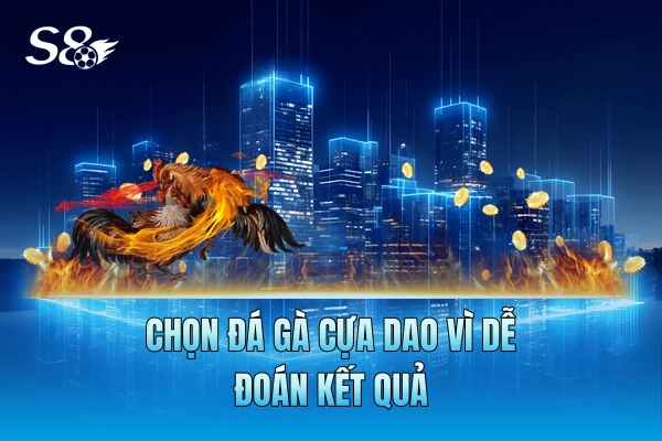 Chọn đá gà cựa dao vì dễ đoán kết quả Chọn đá gà cựa dao vì dễ đoán kết quả