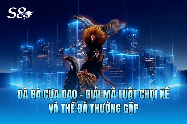 Đá Gà Cựa Dao - Giải Mã Luật Chọi Kê Và Thế Đá Thường Gặp Đá Gà Cựa Dao - Giải Mã Luật Chọi Kê Và Thế Đá Thường Gặp