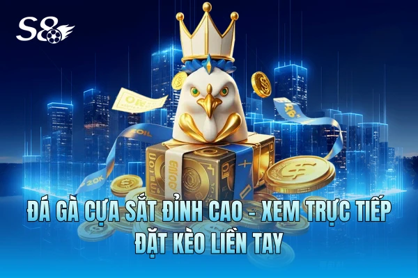 Đá Gà Cựa Sắt Đỉnh Cao - Xem Trực Tiếp, Đặt Kèo Liền Tay Đá Gà Cựa Sắt Đỉnh Cao - Xem Trực Tiếp, Đặt Kèo Liền Tay