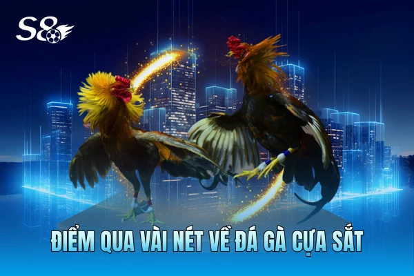 Điểm qua vài nét về đá gà cựa sắt Điểm qua vài nét về đá gà cựa sắt