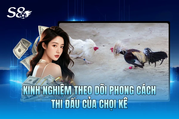Kinh nghiệm theo dõi phong cách thi đấu của chọi kê Kinh nghiệm theo dõi phong cách thi đấu của chọi kê