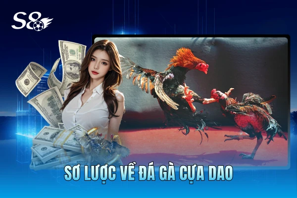 Sơ lược về đá gà cựa dao Sơ lược về đá gà cựa dao