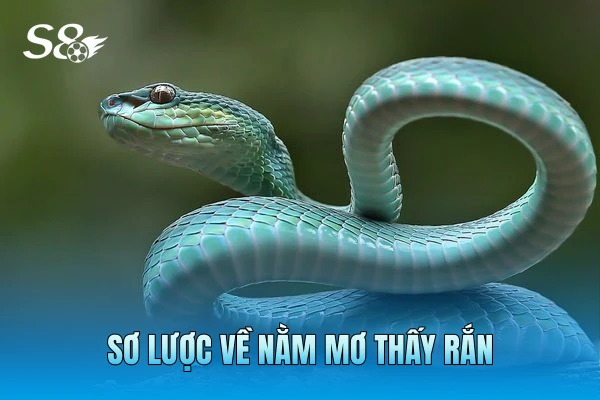 Sơ lược về nằm mơ thấy rắn Sơ lược về nằm mơ thấy rắn