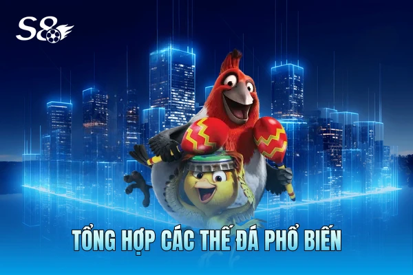 Tổng hợp các thế đá phổ biến Tổng hợp các thế đá phổ biến