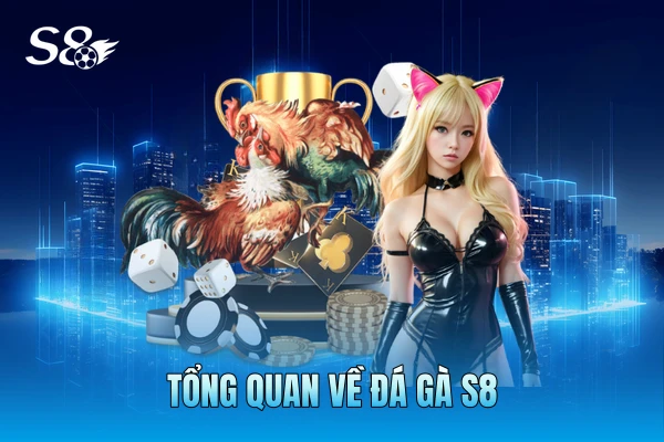 Tổng quan về Đá gà S8 Tổng quan về Đá gà S8