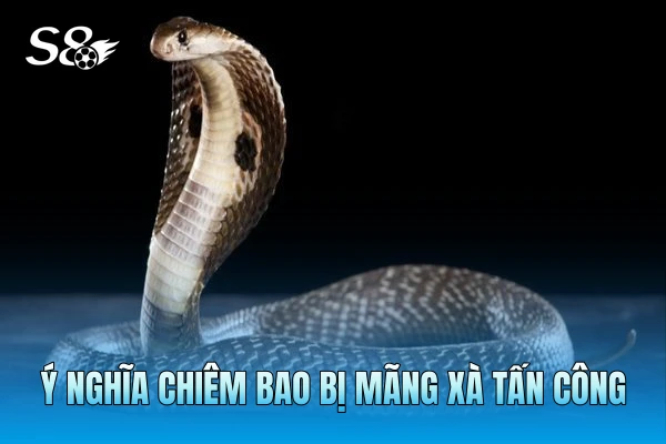 Ý nghĩa chiêm bao bị mãng xà tấn công Ý nghĩa chiêm bao bị mãng xà tấn công
