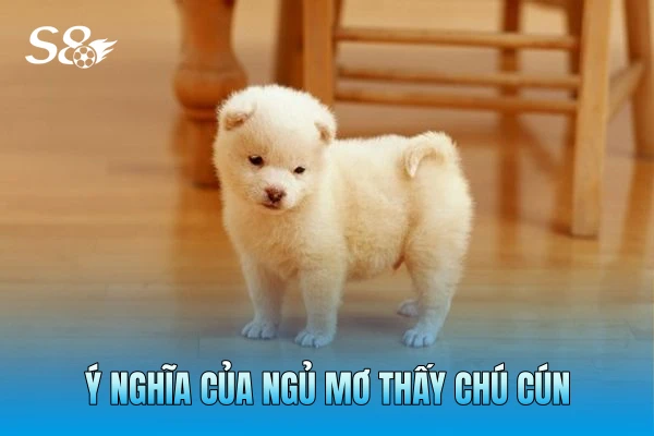 Ý nghĩa của ngủ mơ thấy chú cún Ý nghĩa của ngủ mơ thấy chú cún